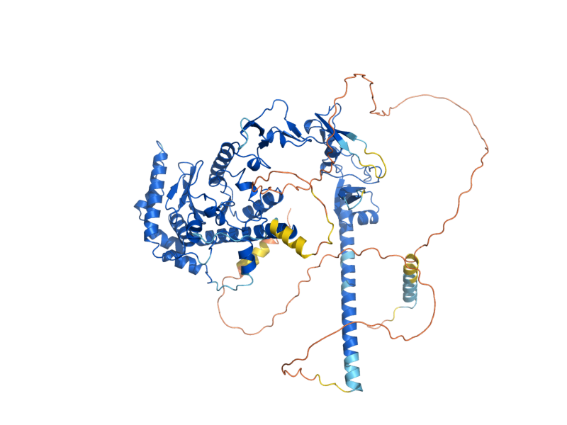 AlphaFold predicted structure of RAD4