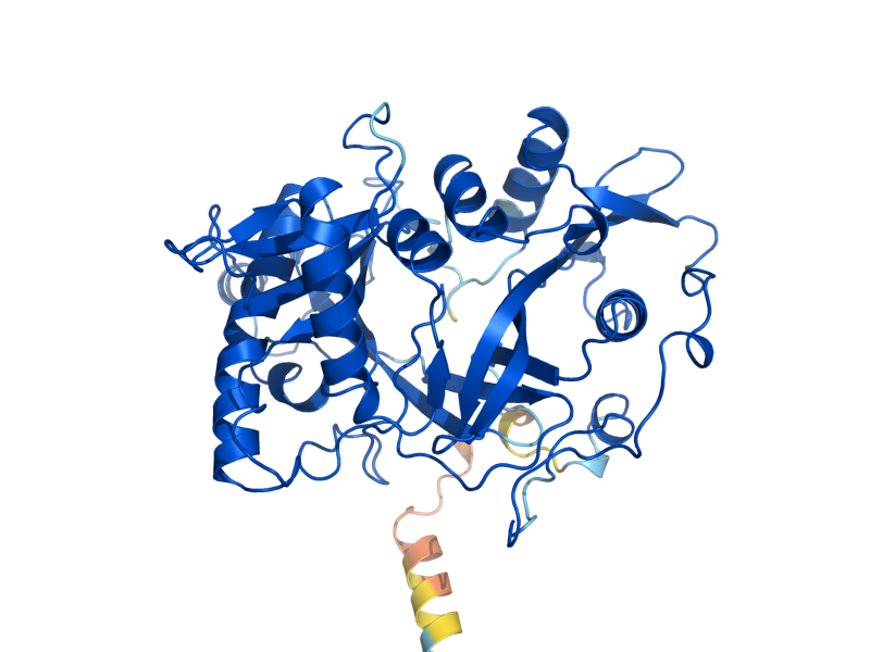 AlphaFold predicted structure of NMT1