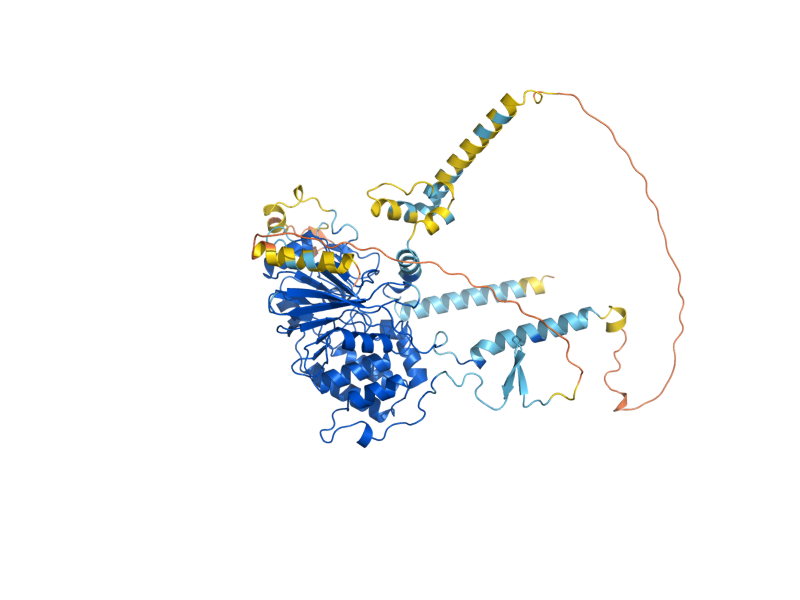 AlphaFold predicted structure of CMP2