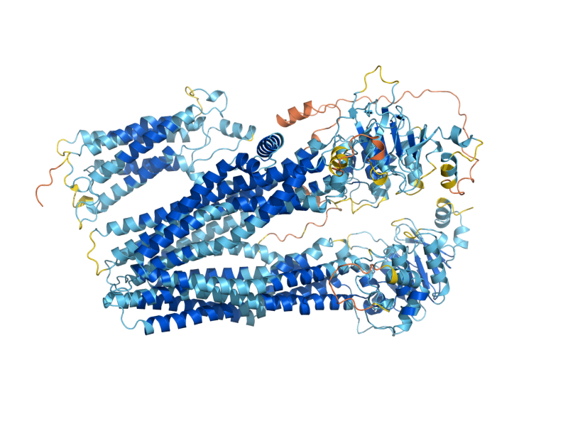AlphaFold predicted structure of BPT1