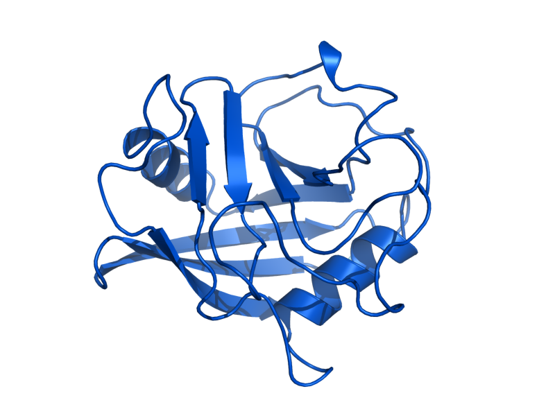 AlphaFold predicted structure of CPR1