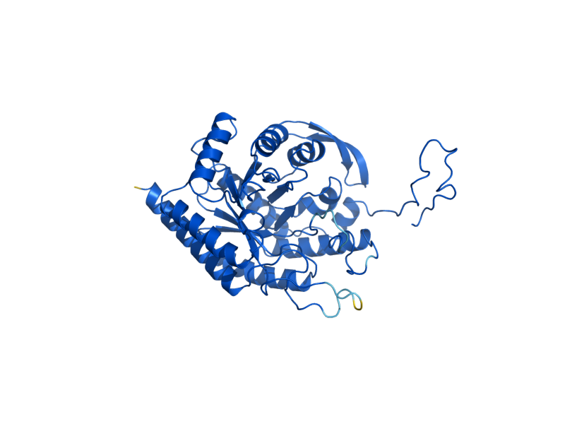 AlphaFold predicted structure of ARO3