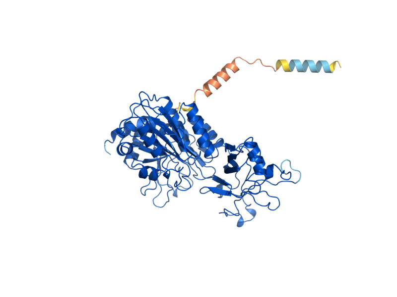 AlphaFold predicted structure of APE1