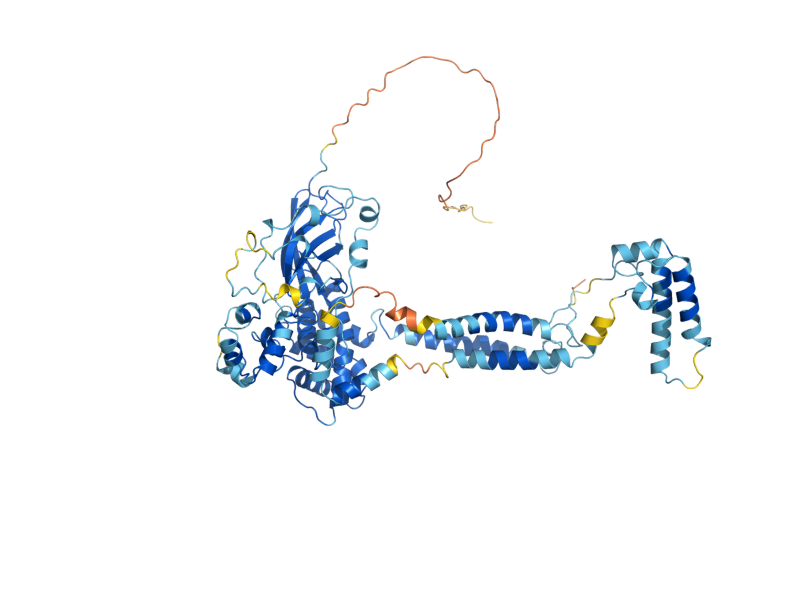 AlphaFold predicted structure of SEC63