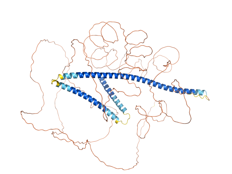 AlphaFold predicted structure of NSP1