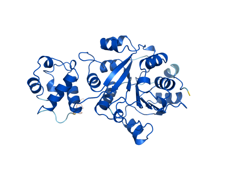 AlphaFold predicted structure of MTF1