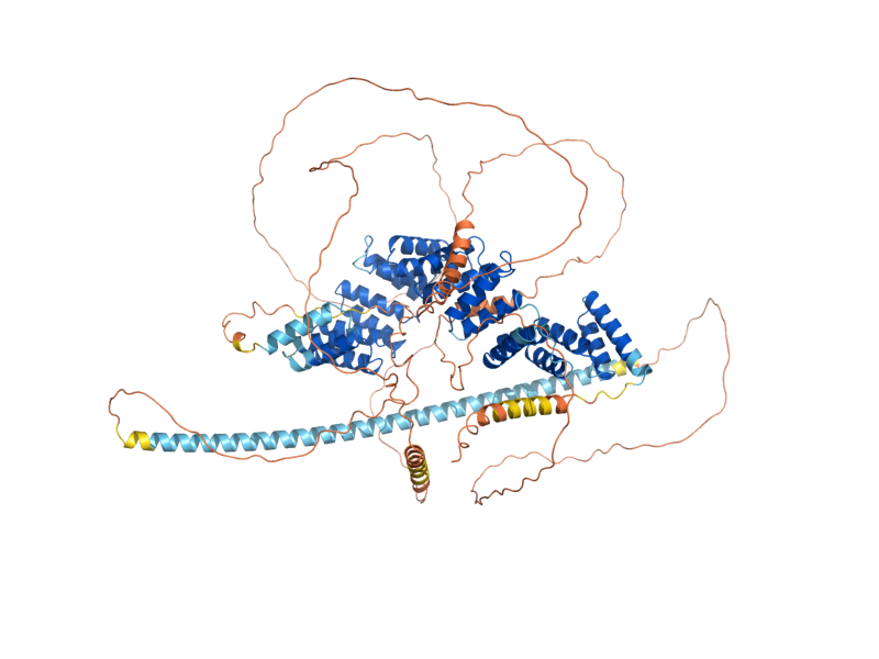 AlphaFold predicted structure of CYC8