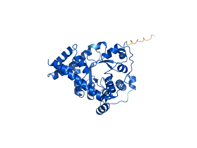 AlphaFold predicted structure of TAL1