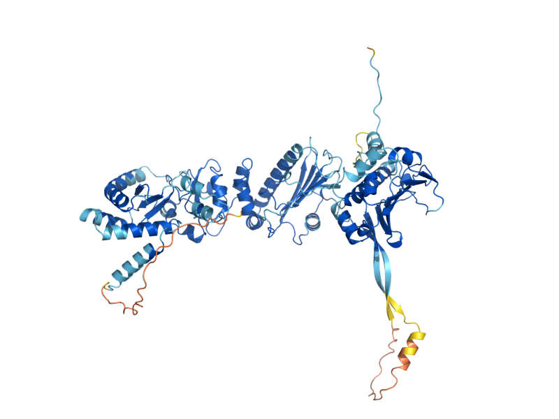 AlphaFold predicted structure of HSC82
