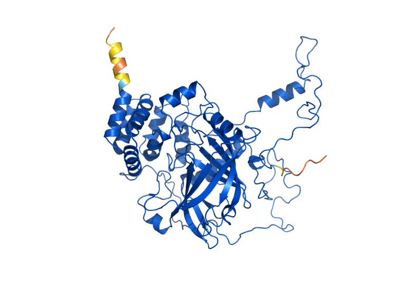 AlphaFold predicted structure of CTA1