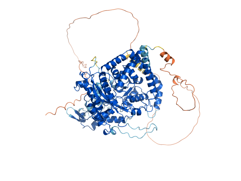 AlphaFold predicted structure of AMD1