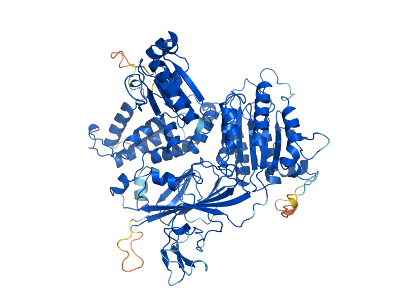 AlphaFold predicted structure of SEC23