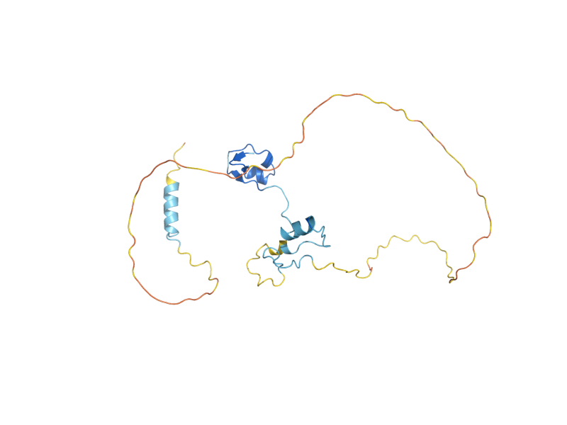 AlphaFold predicted structure of CUP2