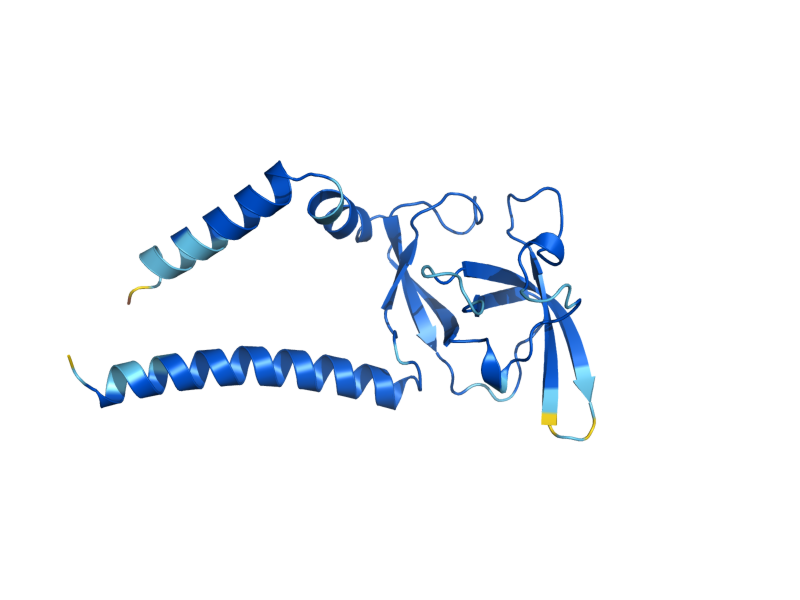 AlphaFold predicted structure of SEC11