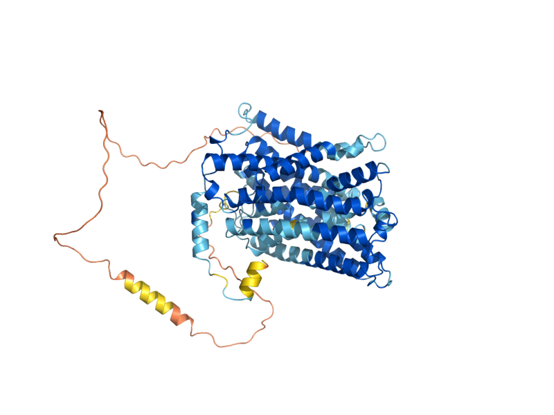 AlphaFold predicted structure of PUT4