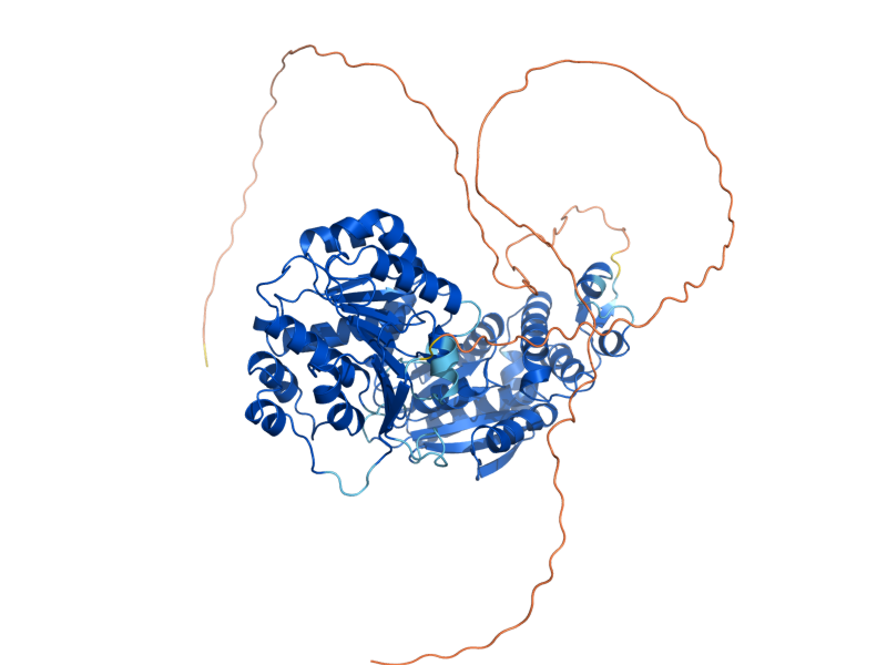 AlphaFold predicted structure of MSS116
