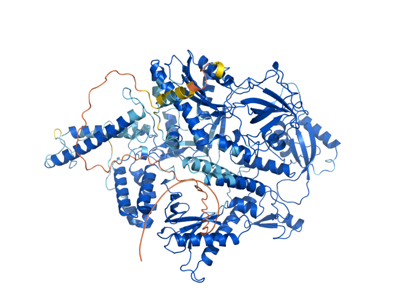AlphaFold predicted structure of POL3