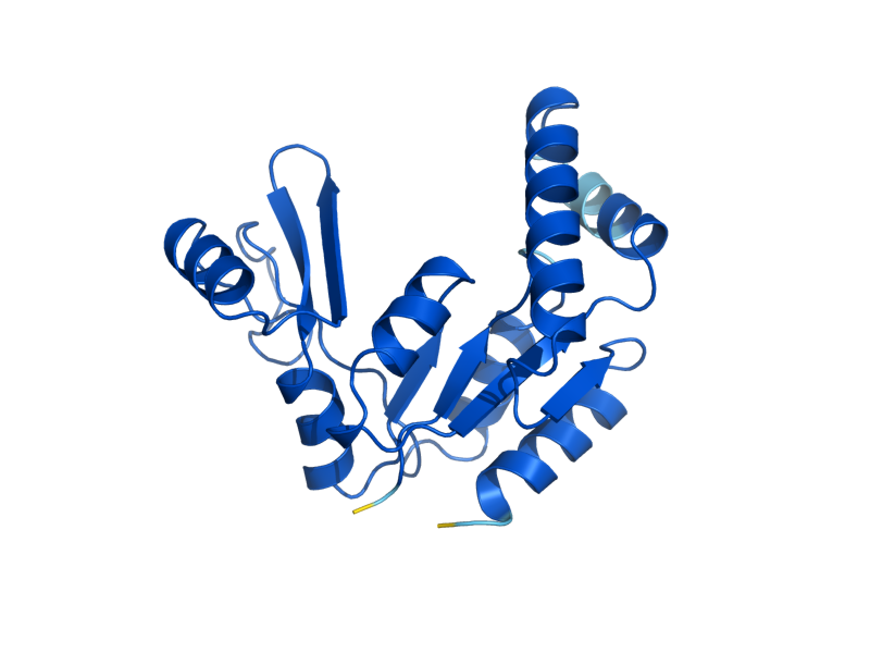 AlphaFold predicted structure of GUK1