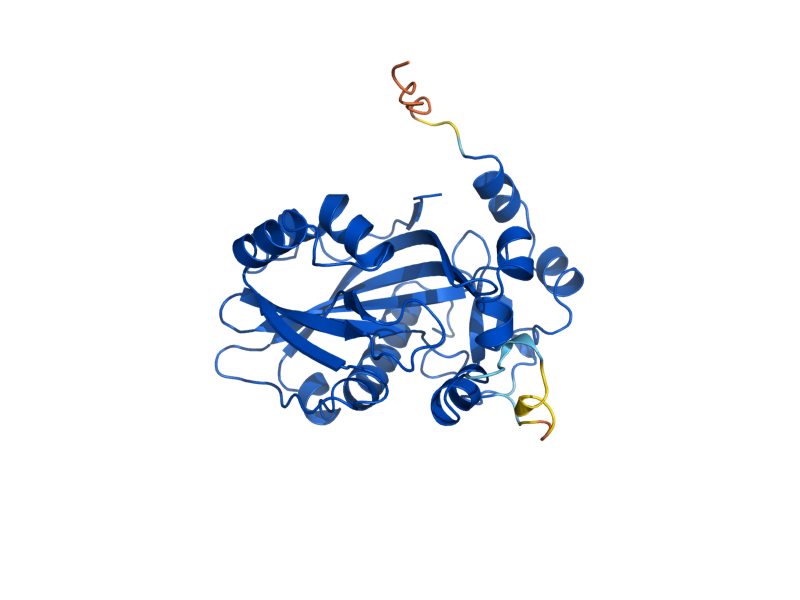 AlphaFold predicted structure of IDI1