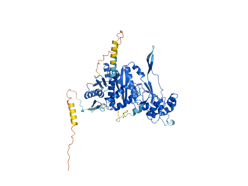 AlphaFold predicted structure of TRM1