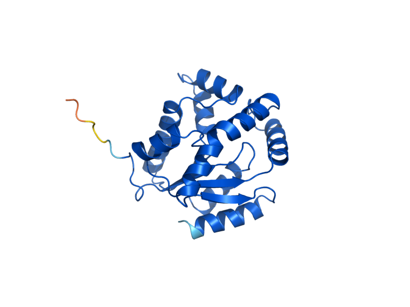 AlphaFold predicted structure of URA6