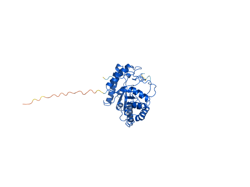 AlphaFold predicted structure of BGL2