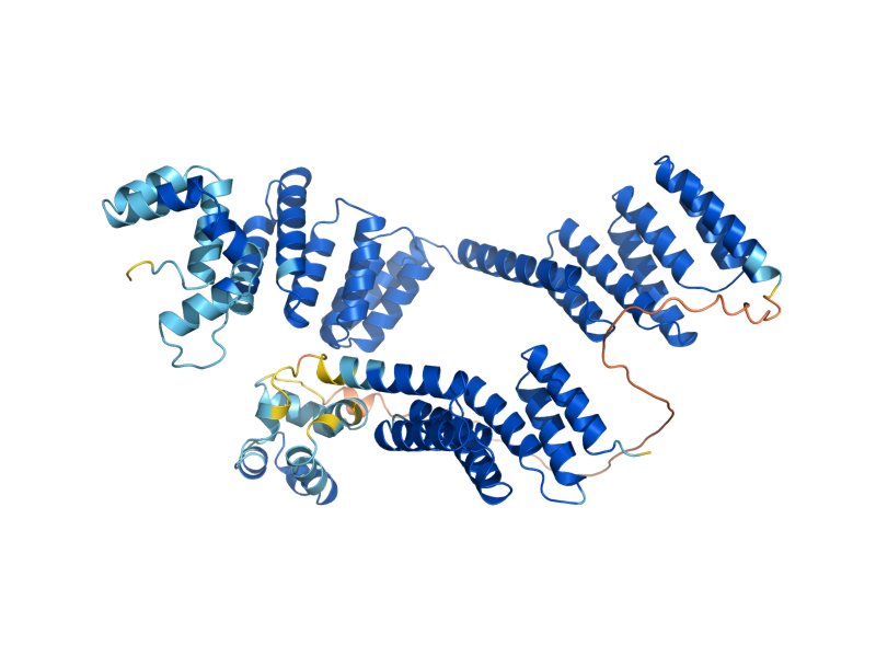 AlphaFold predicted structure of STI1