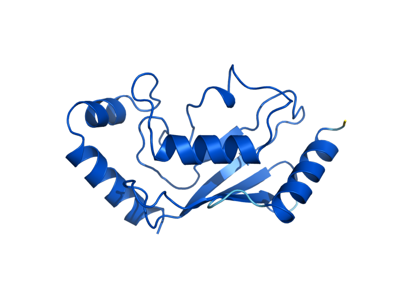 AlphaFold predicted structure of UBC4