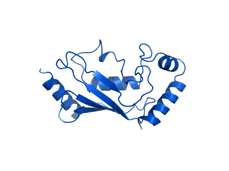 AlphaFold predicted structure of UBC5