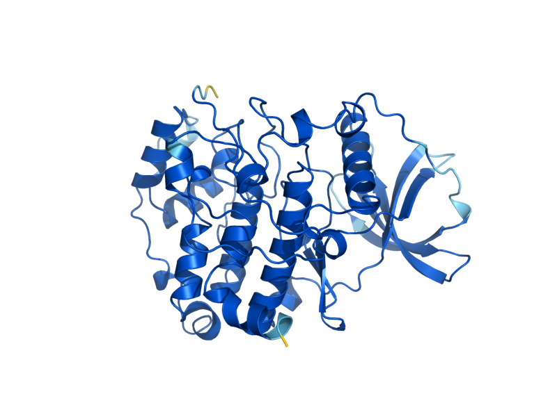 AlphaFold predicted structure of CKA1