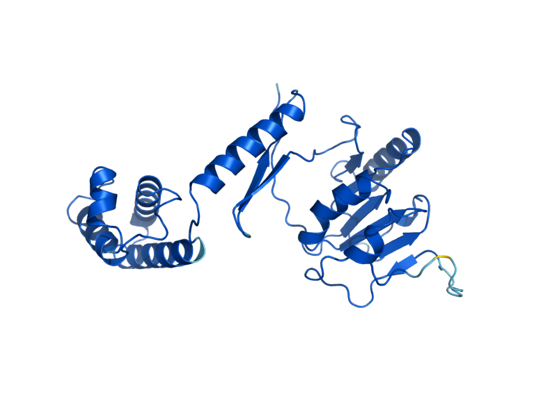 AlphaFold predicted structure of MET8