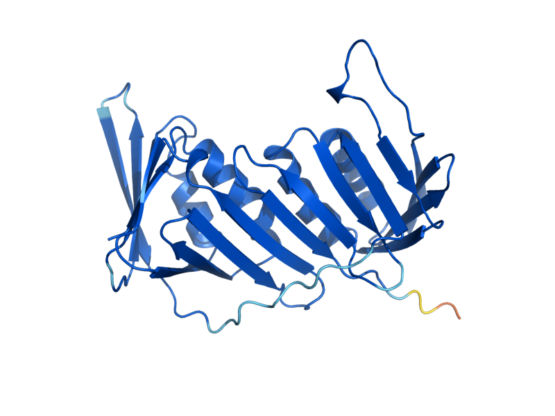 AlphaFold predicted structure of POL30