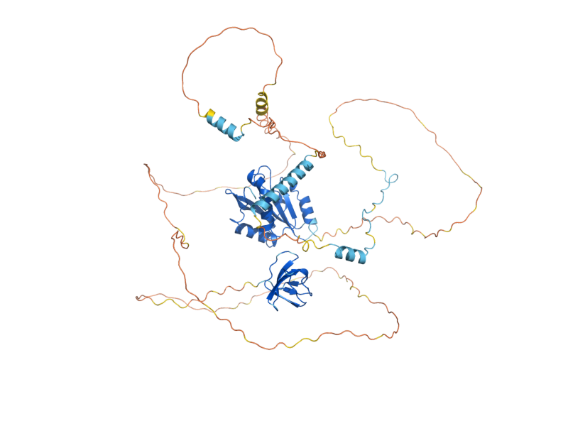 AlphaFold predicted structure of ABP1