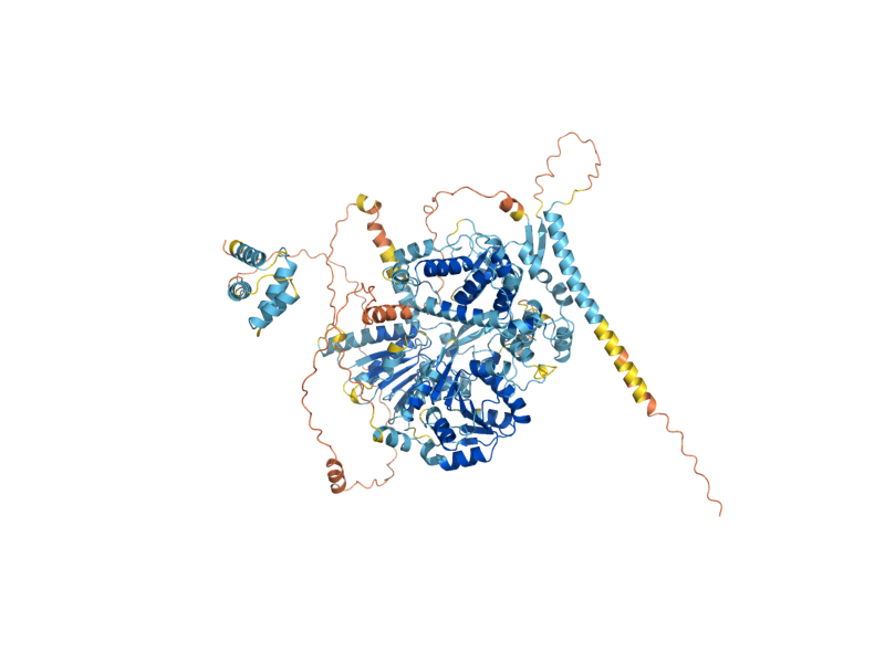 AlphaFold predicted structure of PRP16