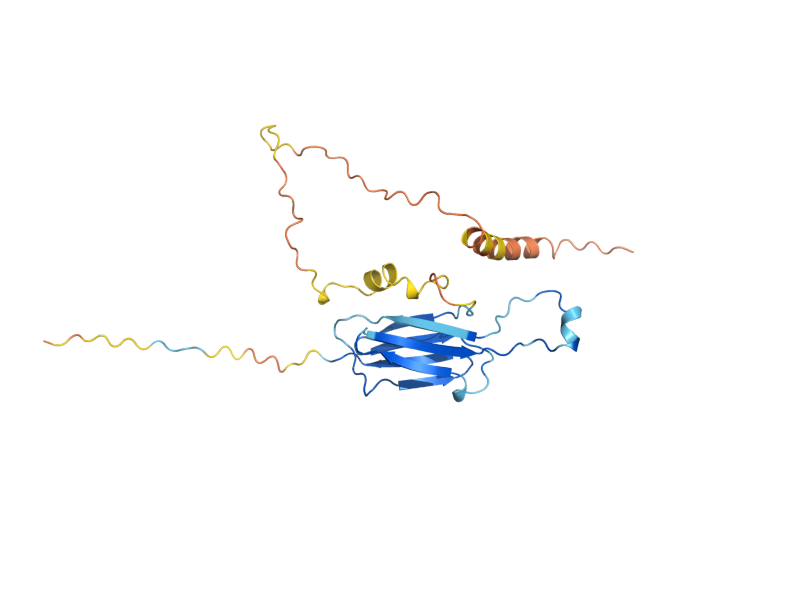 AlphaFold predicted structure of HSP26