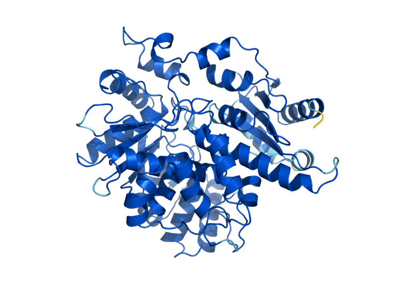 AlphaFold predicted structure of THR4