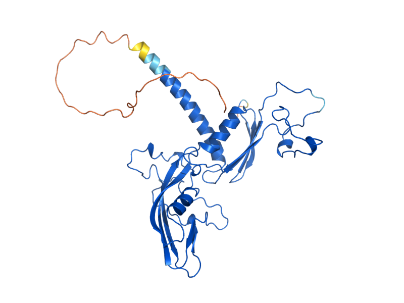 AlphaFold predicted structure of RPB3