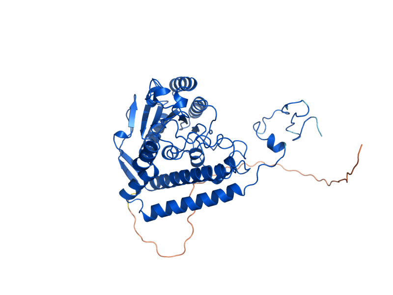 AlphaFold predicted structure of PDA1