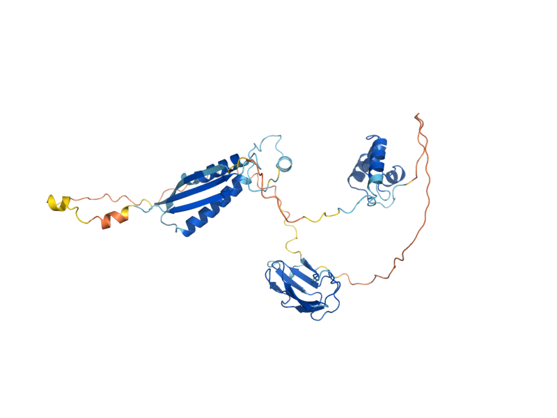 AlphaFold predicted structure of PDX1