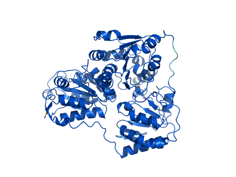 AlphaFold predicted structure of PDC5
