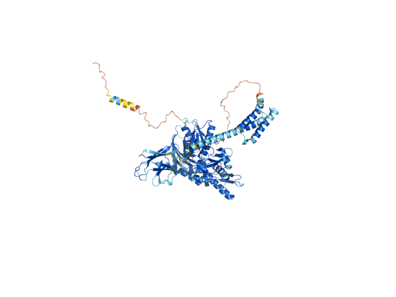 AlphaFold predicted structure of KAR2