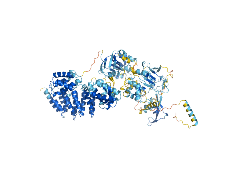 AlphaFold predicted structure of YEF3
