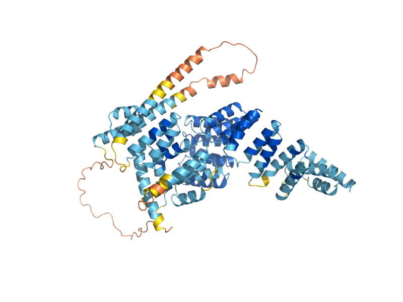 AlphaFold predicted structure of CDC23