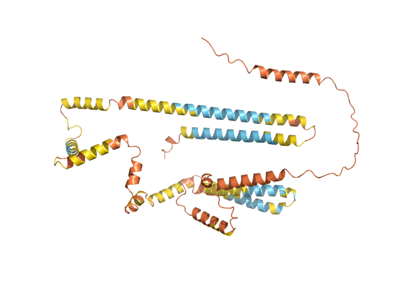 AlphaFold predicted structure of OM45