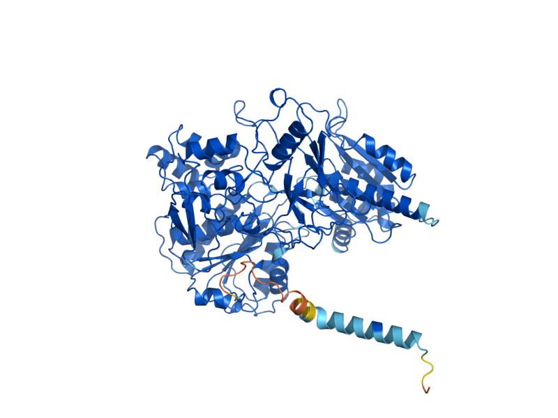 AlphaFold predicted structure of NCP1