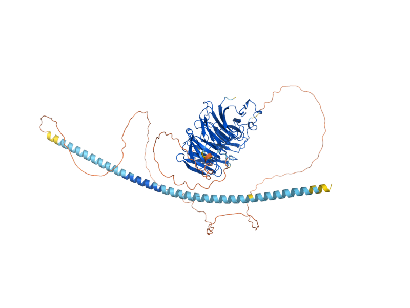 AlphaFold predicted structure of TUP1