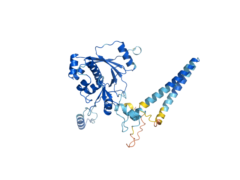 AlphaFold predicted structure of SEN2