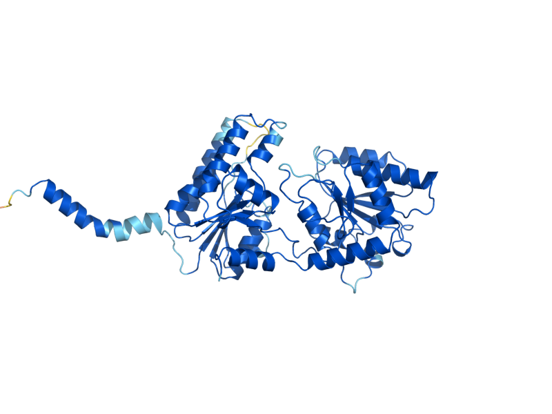 AlphaFold predicted structure of ALG1