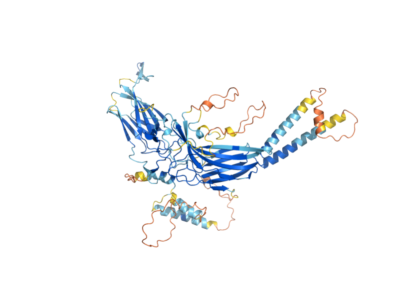 AlphaFold predicted structure of RGP1