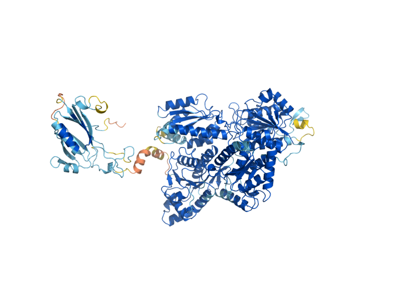 AlphaFold predicted structure of PFK1